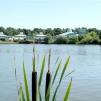 camping-zilverstrand-mol-adn2u