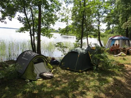 camping-zhizhiland-anashkino-hxbgq