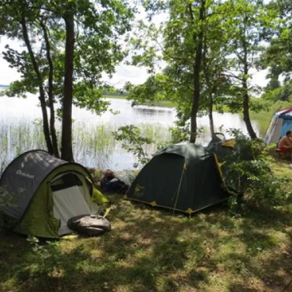 camping-zhizhiland-anashkino-hxbgq