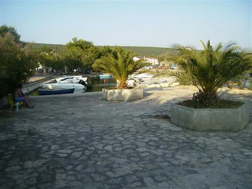 autocamp-malenica-sukoan-ftxte