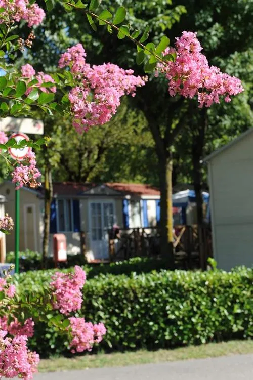 camping-del-sole-iseo-9y5hu
