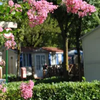 camping-del-sole-iseo-9y5hu