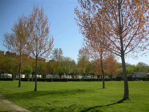 camping-de-haro-haro-2tlvn