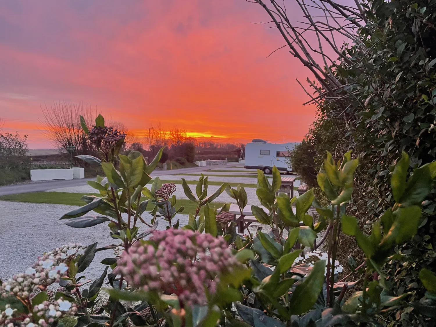 parkland-camping-site-kingsbridge-60dwi