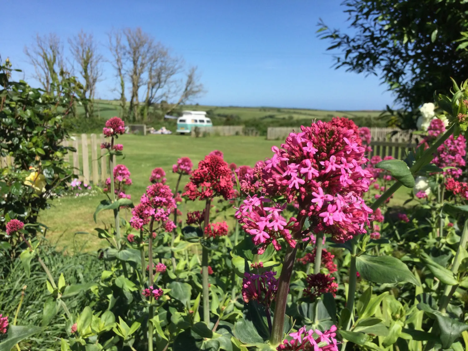 parkland-camping-site-kingsbridge-imf08