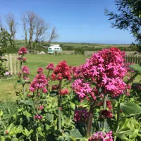 parkland-camping-site-kingsbridge-imf08