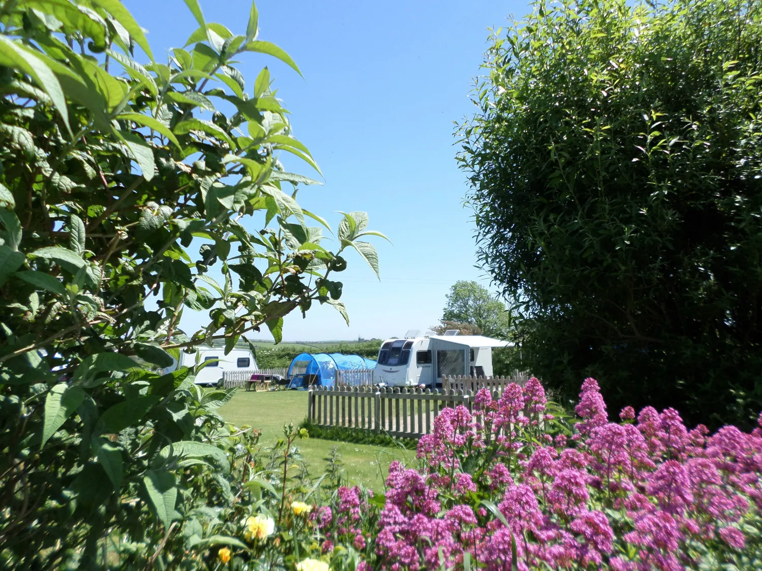 parkland-camping-site-kingsbridge-r24x1