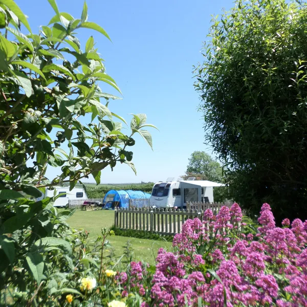 Parkland Touring, Camping & Glamping Site