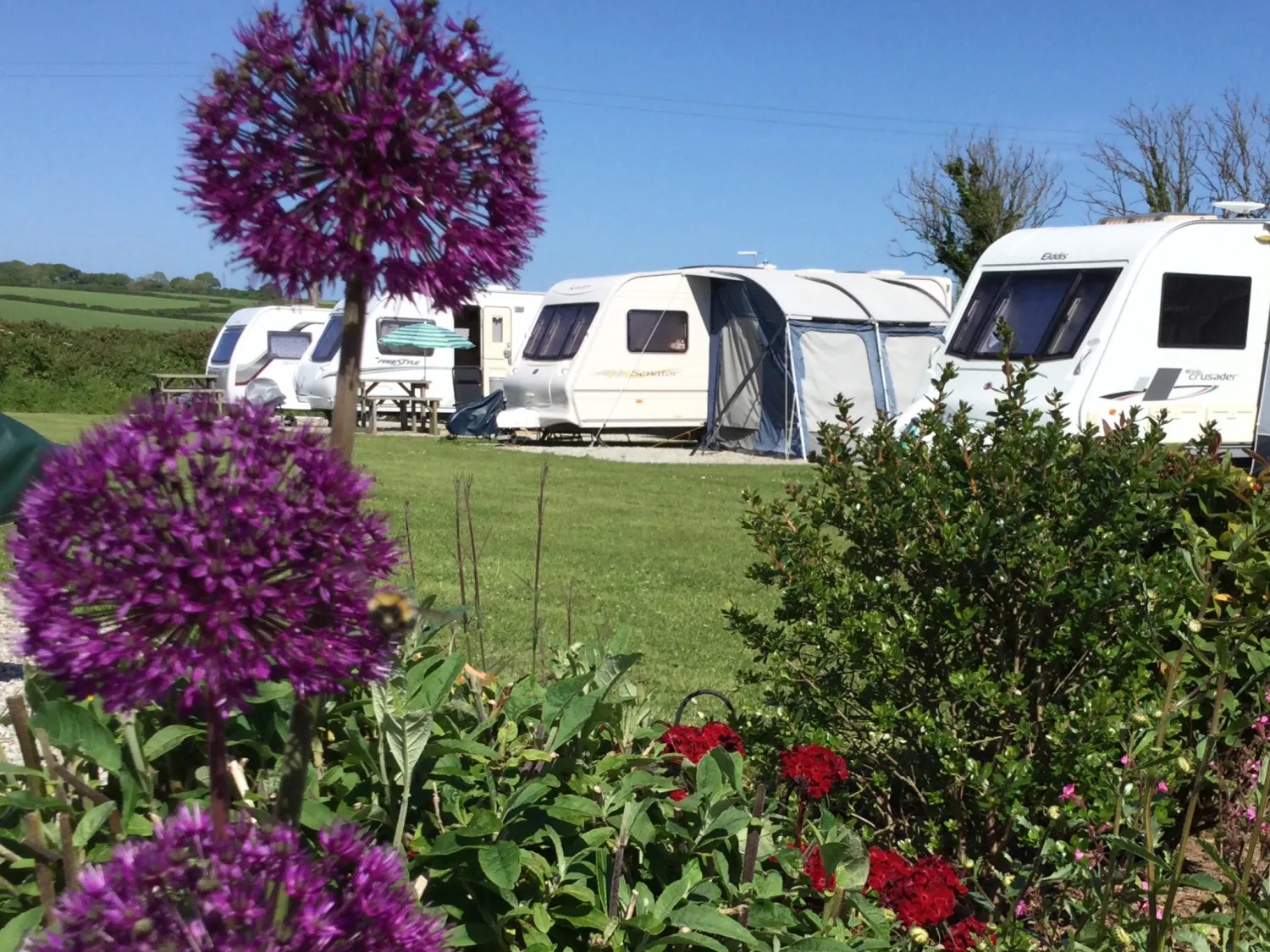 parkland-camping-site-kingsbridge-xp6am