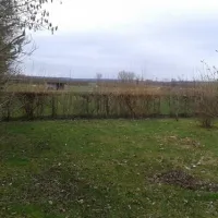 camping-les-bouleaux-vignoles-npwdl