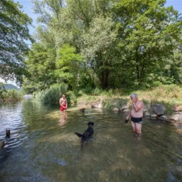 camping-lago-di-levico-levico-terme-jivnm