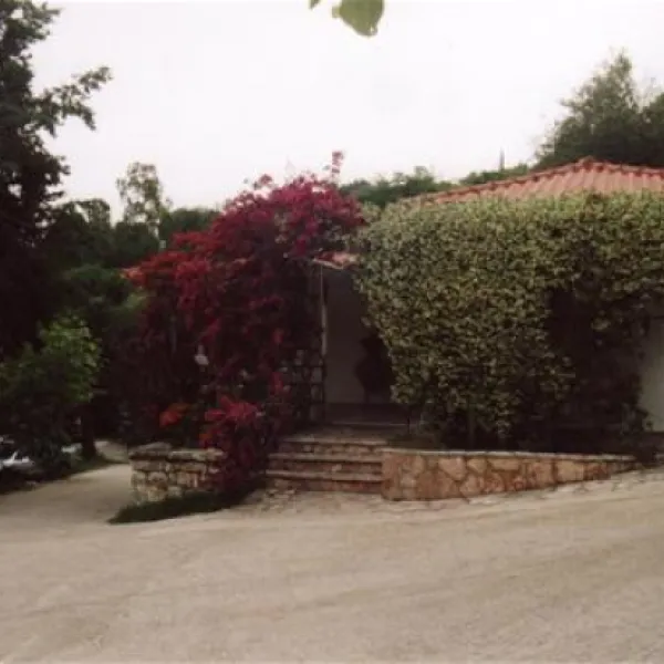campsite-kalami-beach-platariaigoumenitsa-h8l7m
