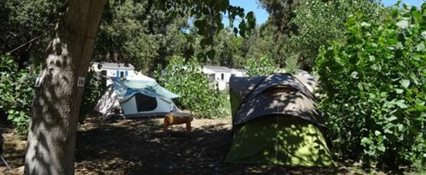Camping A Marina