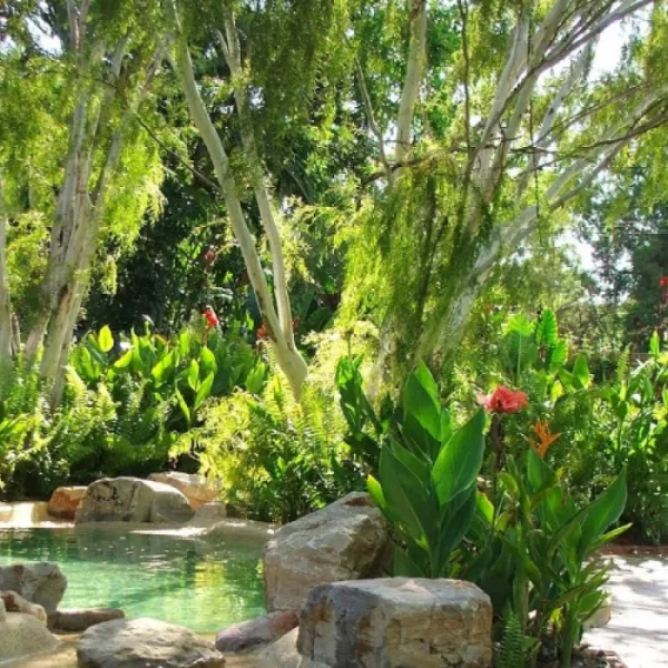 big4-howard-springs-holiday-park-howard-springs-darwin-daxvy