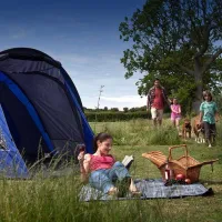 waldegraves-holiday-park-mersea-island-wflds