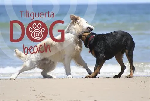 camping-tiliguerta-muravera-yxhmz