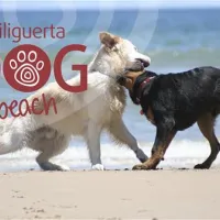 camping-tiliguerta-muravera-yxhmz