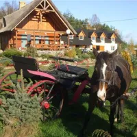 P.H.U.Xolo-Kemping Koziolkowo