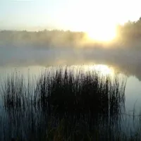 phuxolokemping-koziolkowo-stara-kiszewa-lqjve
