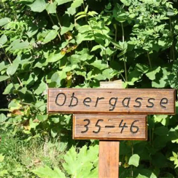 campingplatz-wallenstein-knllwaldwallenstein-otxuc