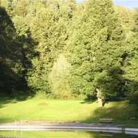 campingplatz-wallenstein-knllwaldwallenstein-rbtbi