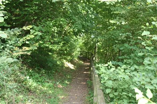 campingplatz-wallenstein-knllwaldwallenstein-wjmns