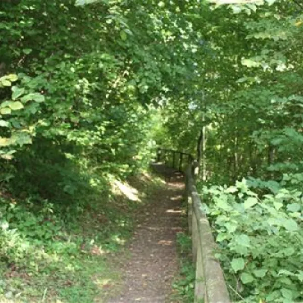 campingplatz-wallenstein-knllwaldwallenstein-wjmns