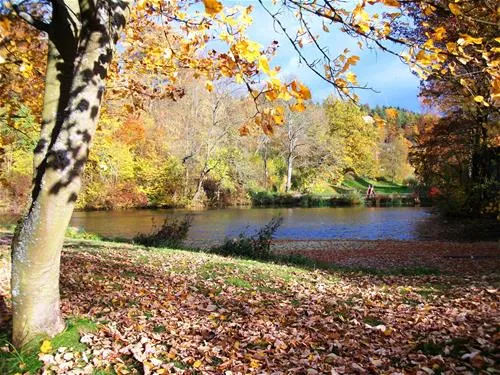 campingplatz-wallenstein-knllwaldwallenstein-xtwut