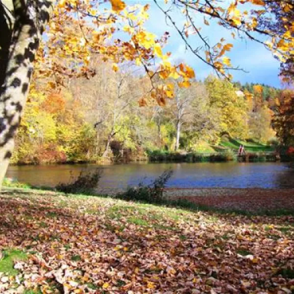 campingplatz-wallenstein-knllwaldwallenstein-xtwut