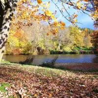campingplatz-wallenstein-knllwaldwallenstein-xtwut