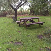 camping-de-grutto-schipluiden-7r5wc