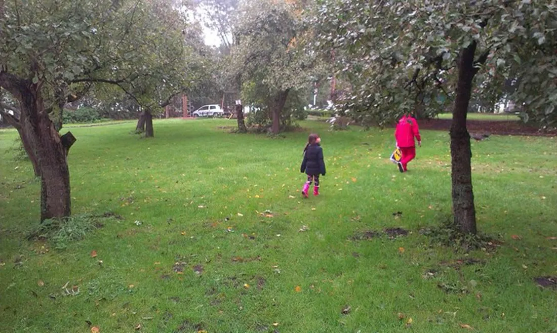 camping-de-grutto-schipluiden-wktwv