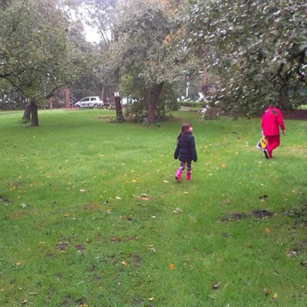 camping-de-grutto-schipluiden-wktwv