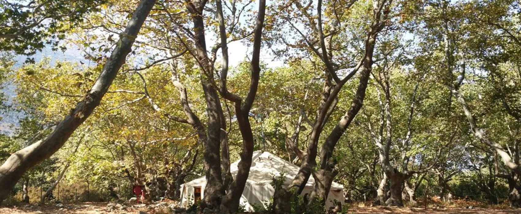 Free Camping