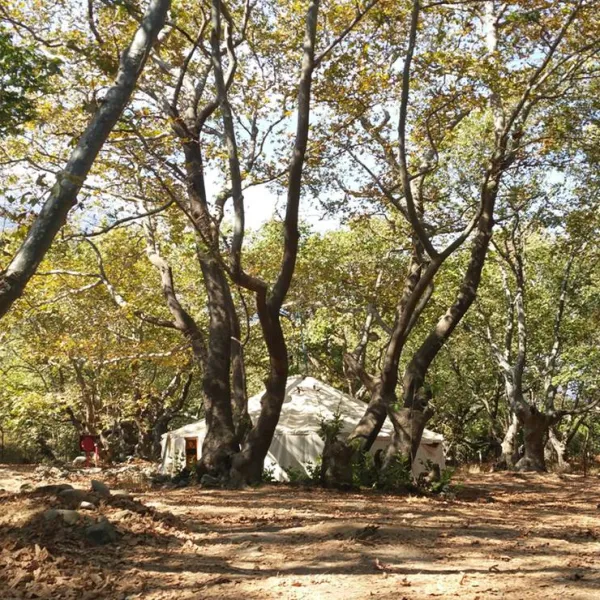free-camping-samothraki-7hy1q