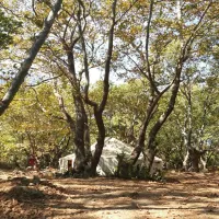 free-camping-samothraki-7hy1q