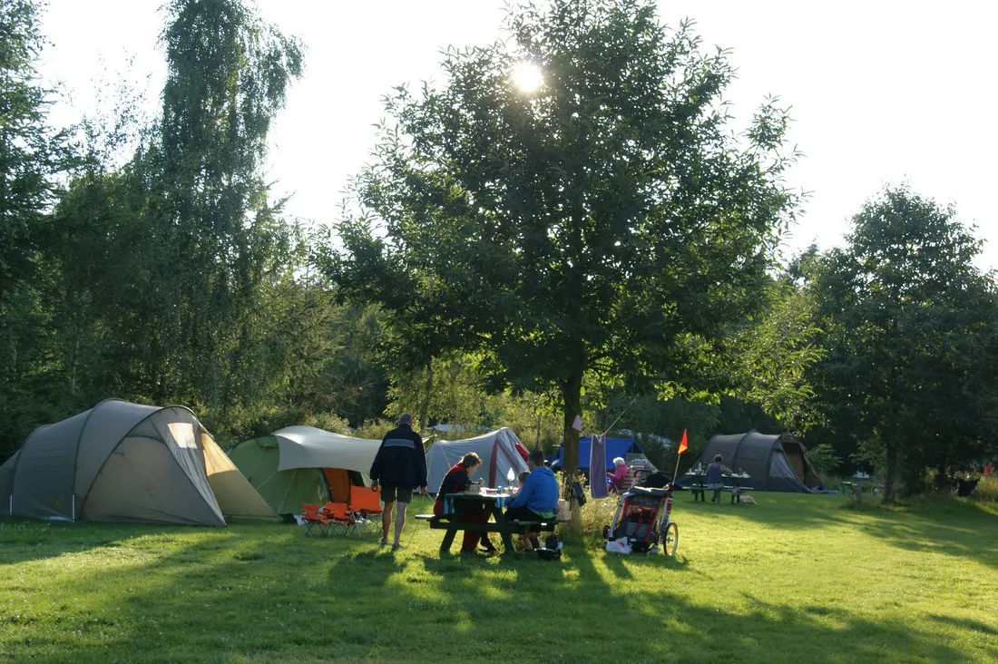 natuurkampeerterrein-t-scharvelt-haarlo-9dx1d