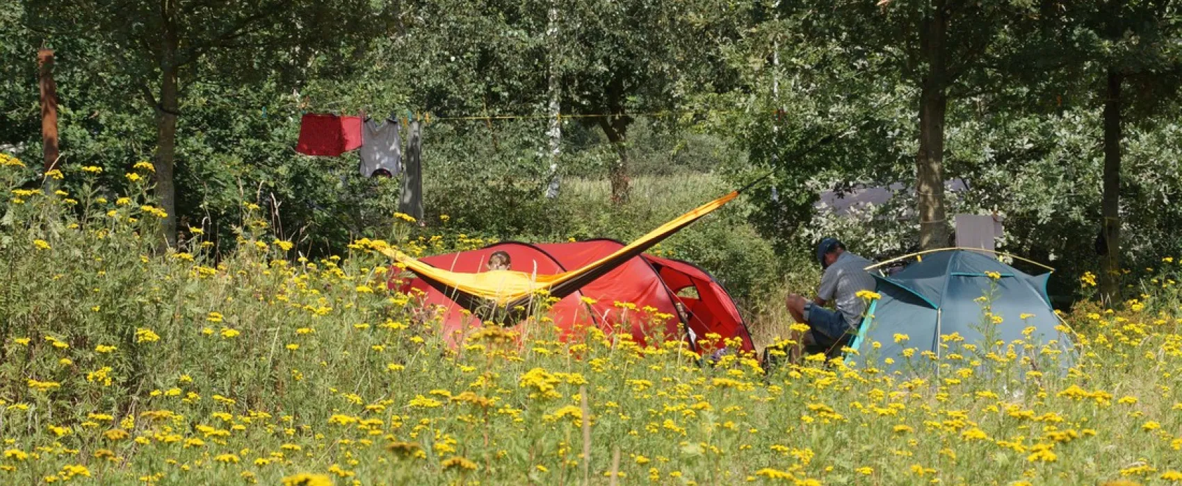 Natuurkampeerterrein 't Scharvelt