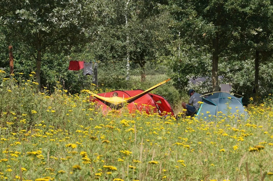 natuurkampeerterrein-t-scharvelt-haarlo-regxc