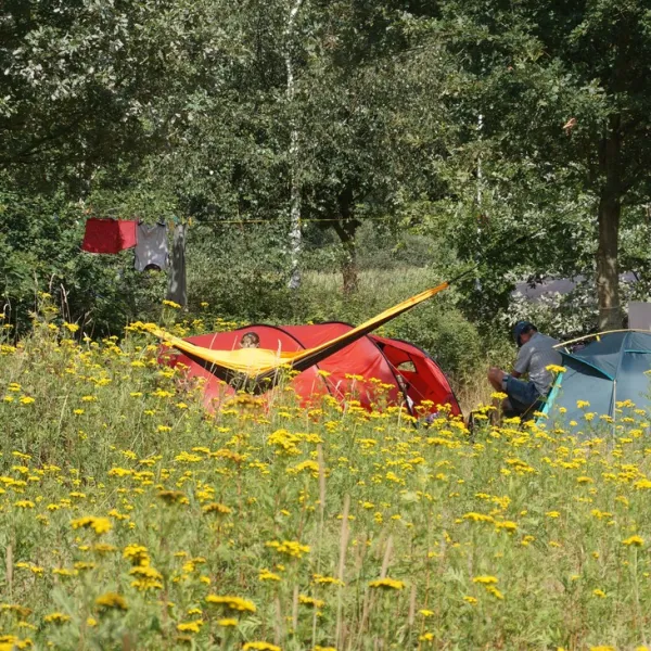 natuurkampeerterrein-t-scharvelt-haarlo-regxc