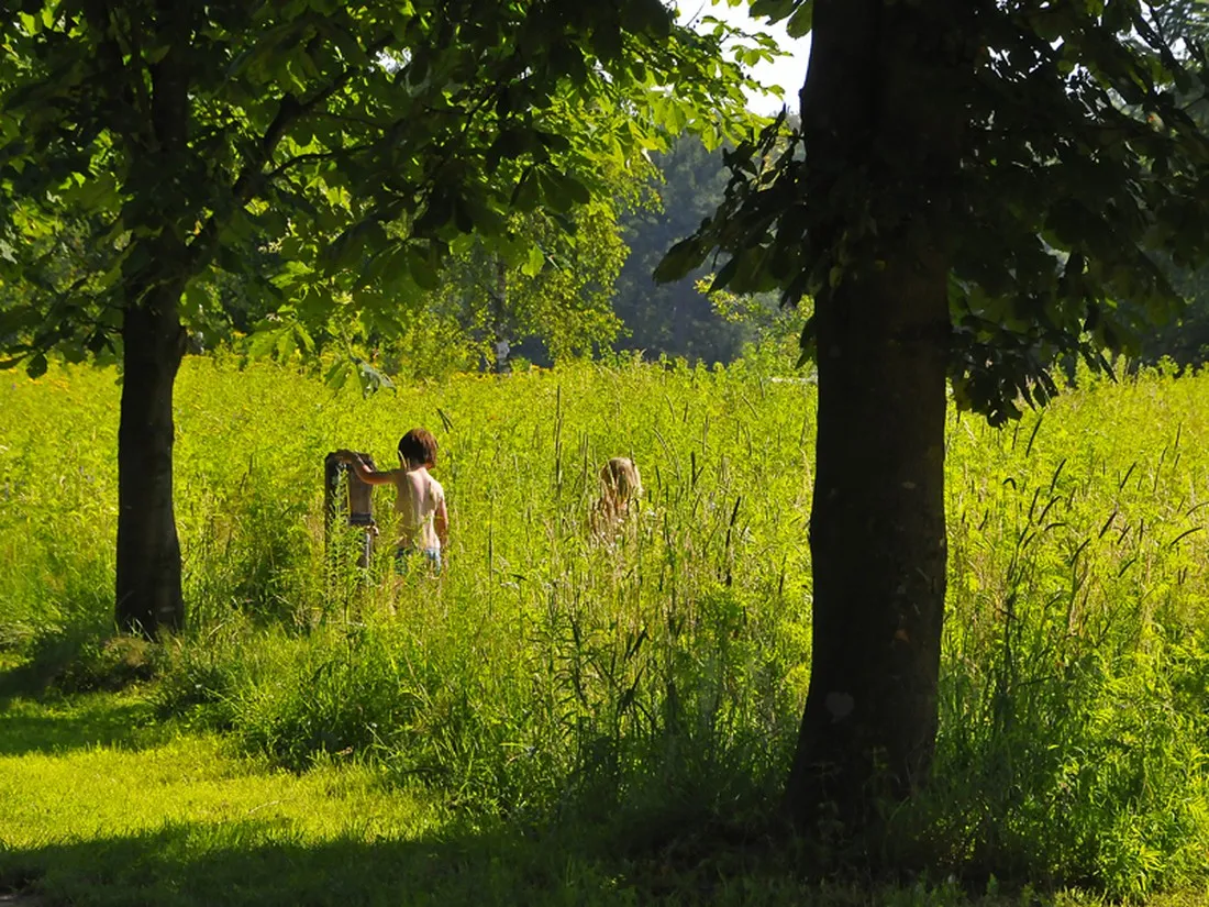 natuurkampeerterrein-t-scharvelt-haarlo-yaram