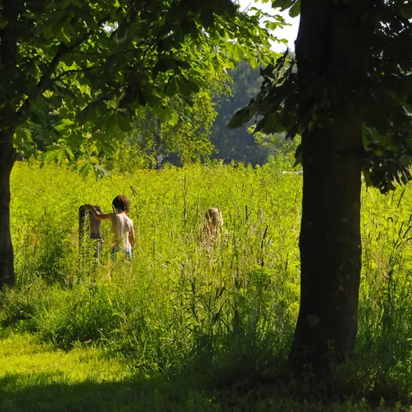 natuurkampeerterrein-t-scharvelt-haarlo-yaram