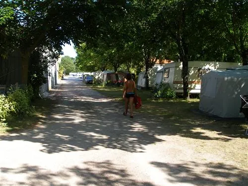 du-petit-pont-arvert-vriah