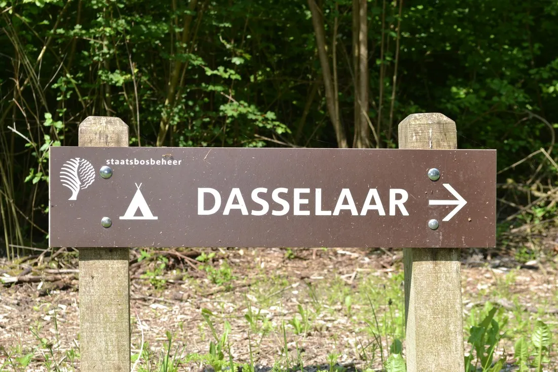 natuurkampeerterrein-de-dasselaar-zeewolde-78rwp