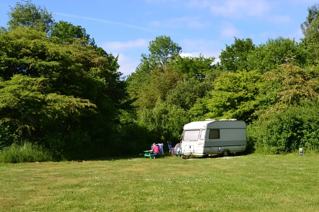 natuurkampeerterrein-de-dasselaar-zeewolde-7g1kw