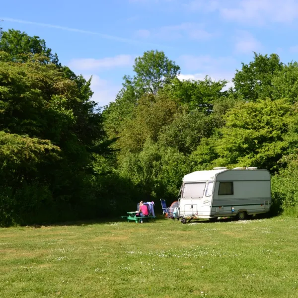 natuurkampeerterrein-de-dasselaar-zeewolde-7g1kw