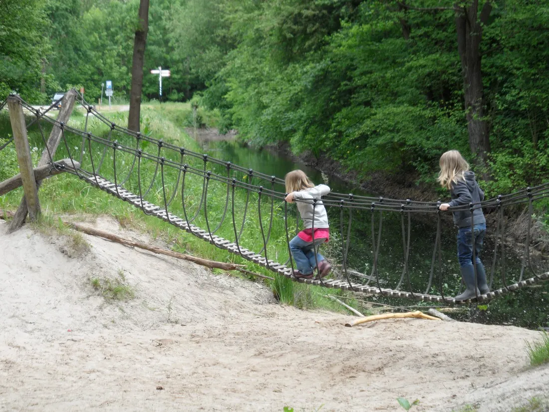 natuurkampeerterrein-de-dasselaar-zeewolde-lkmhy