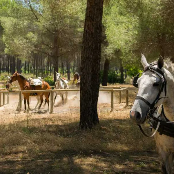 camping-village-donarrayan-park-hinojos-yi11t