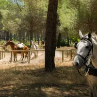 camping-village-donarrayan-park-hinojos-yi11t