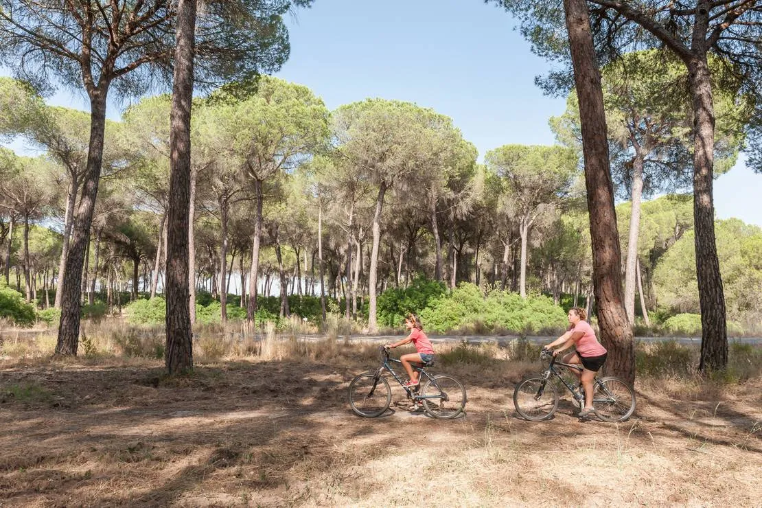 camping-village-donarrayan-park-hinojos-z817l